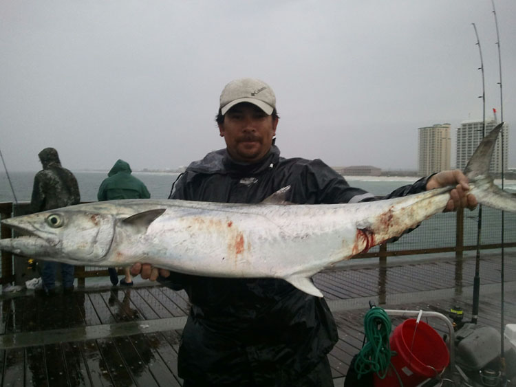 2012 Navarre Pier King Mackerel Image