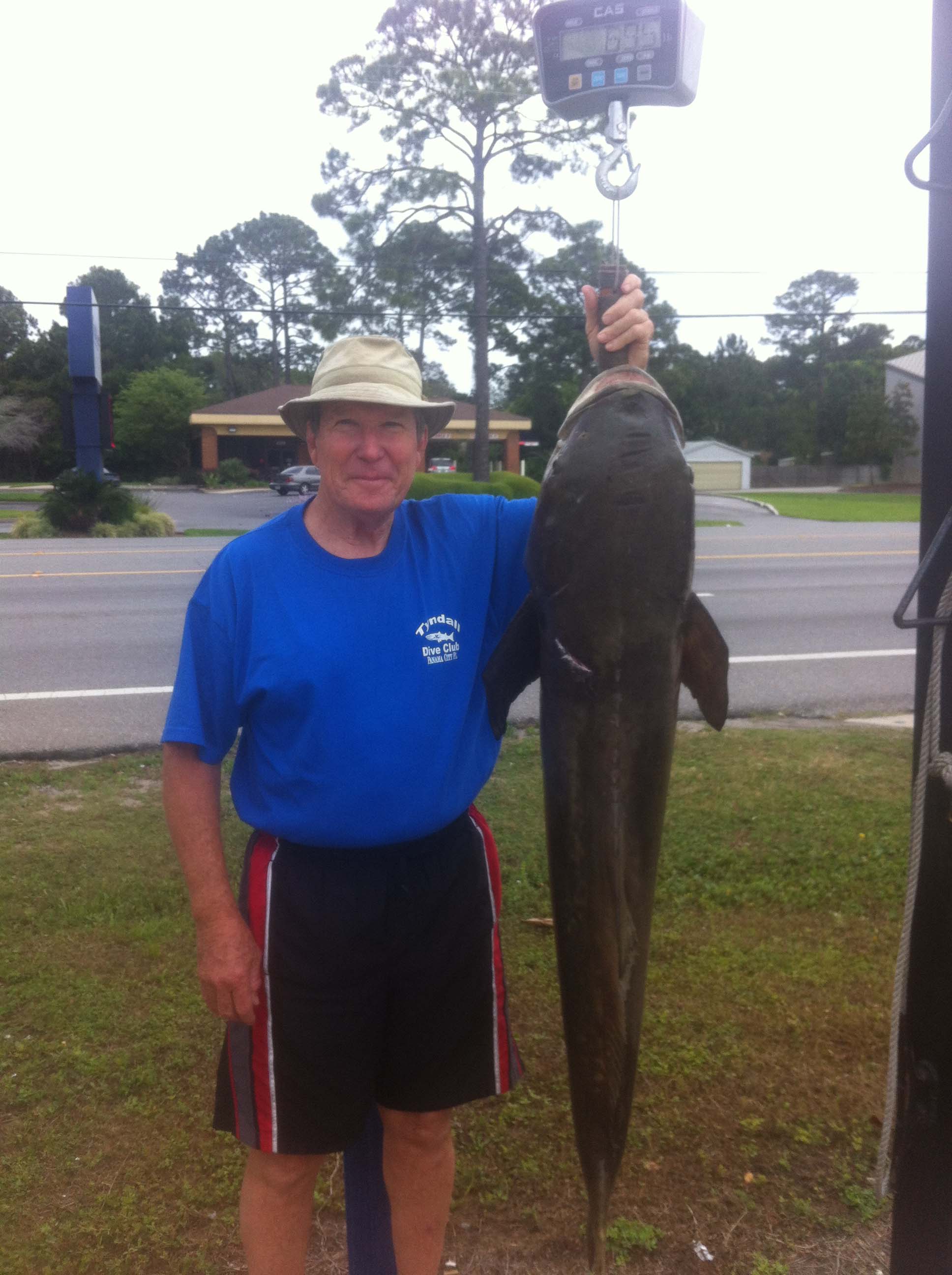 66lb Cobia Weighed PCBStore Image