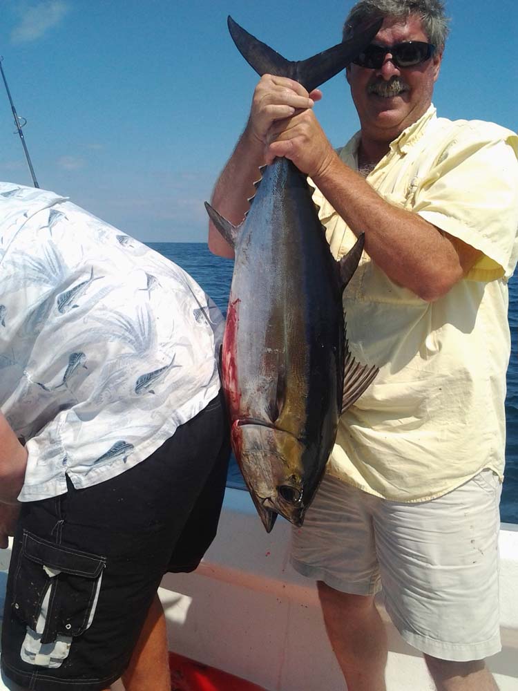 Black Fin Tuna Image