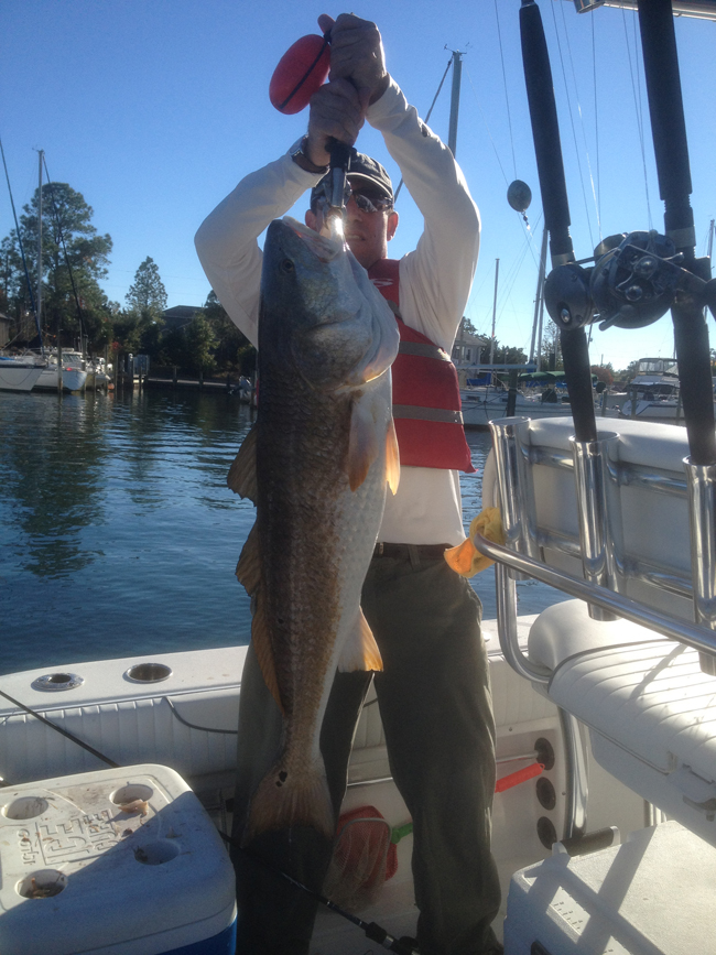 BullRedfish