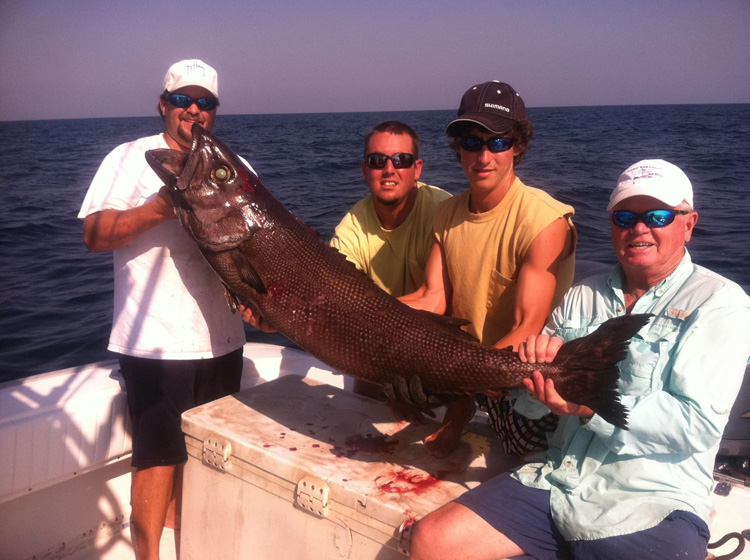 Justin Hamilton Oilfish Image