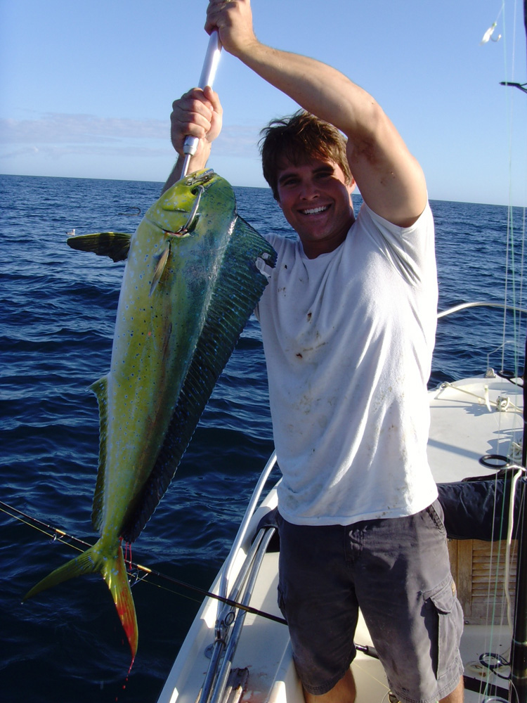 Matt Parramore Dolphin Fish Image