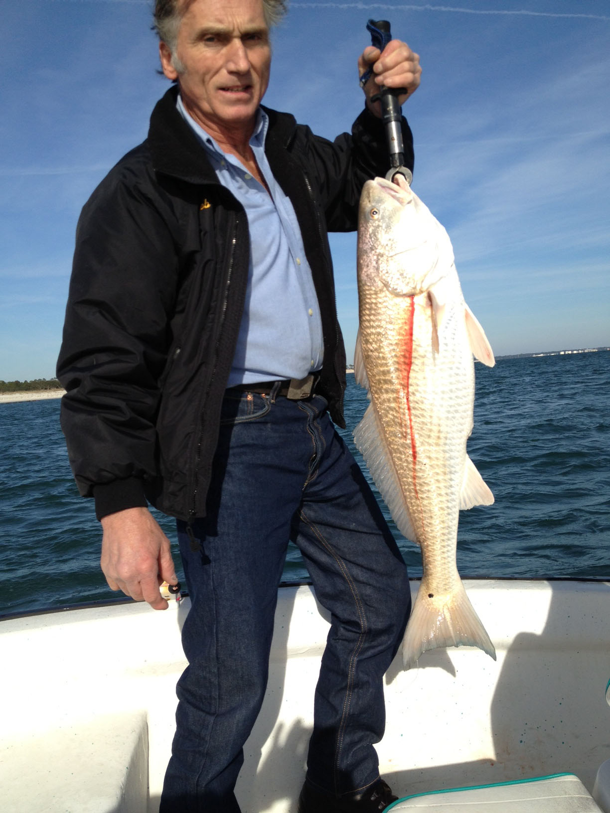 RedfinCharters1