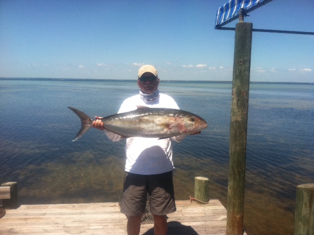 Robert Ratcliff Amberjack Image