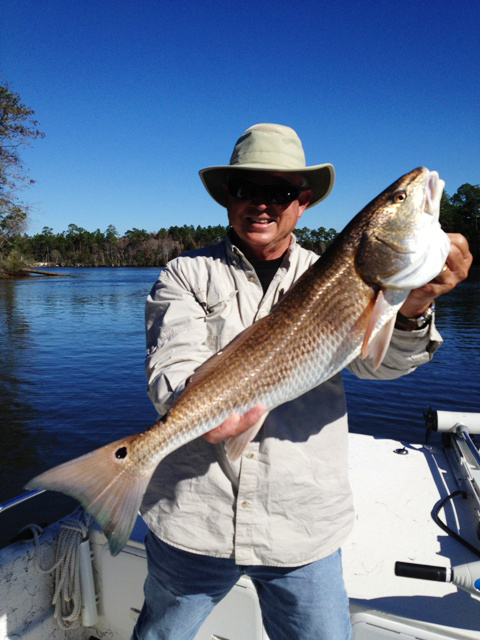 Tom McDowell Redfish 12 19 12