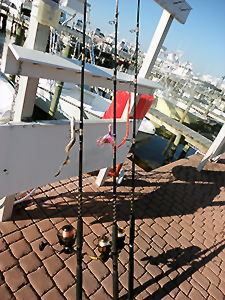 cobia 06b tackle